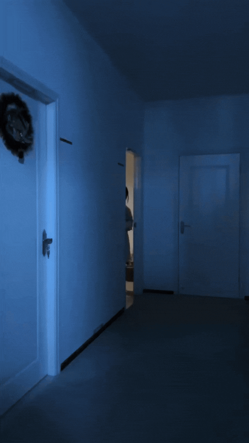 Luminora Cabinet Motion Sensing Light